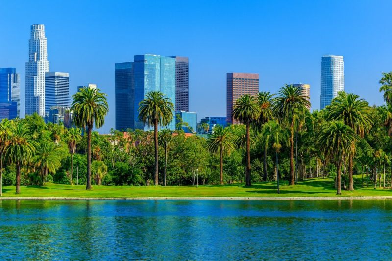 Gardening Service in North Hollywood, CA