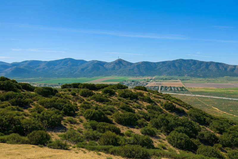 Hedge Installation in Palmdale, CA