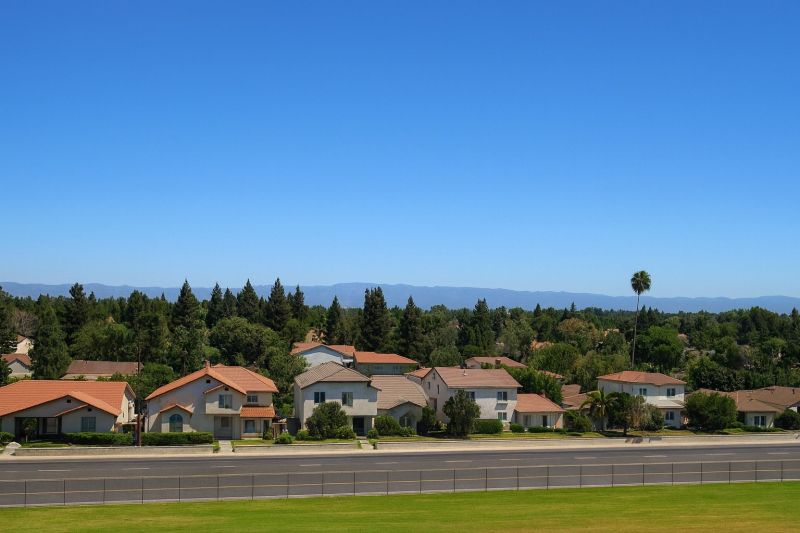 Shrub Replacement in North Hills, CA