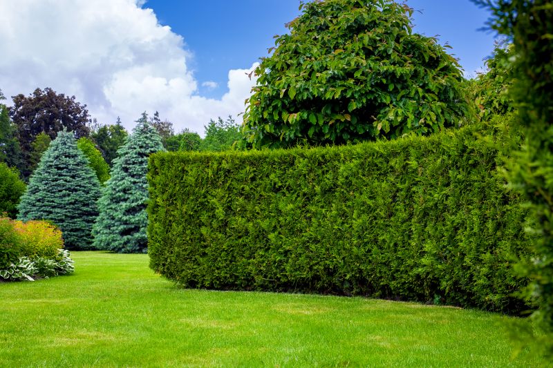 Hedge Installation